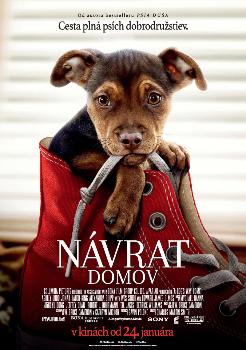 Plakát k filmu NÁVRAT DOMOV