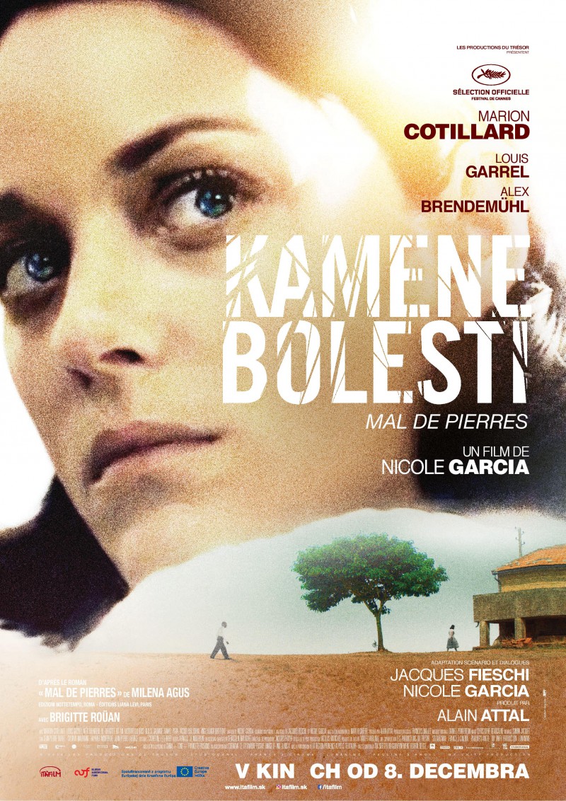 Plakát k filmu KAMENE BOLESTI