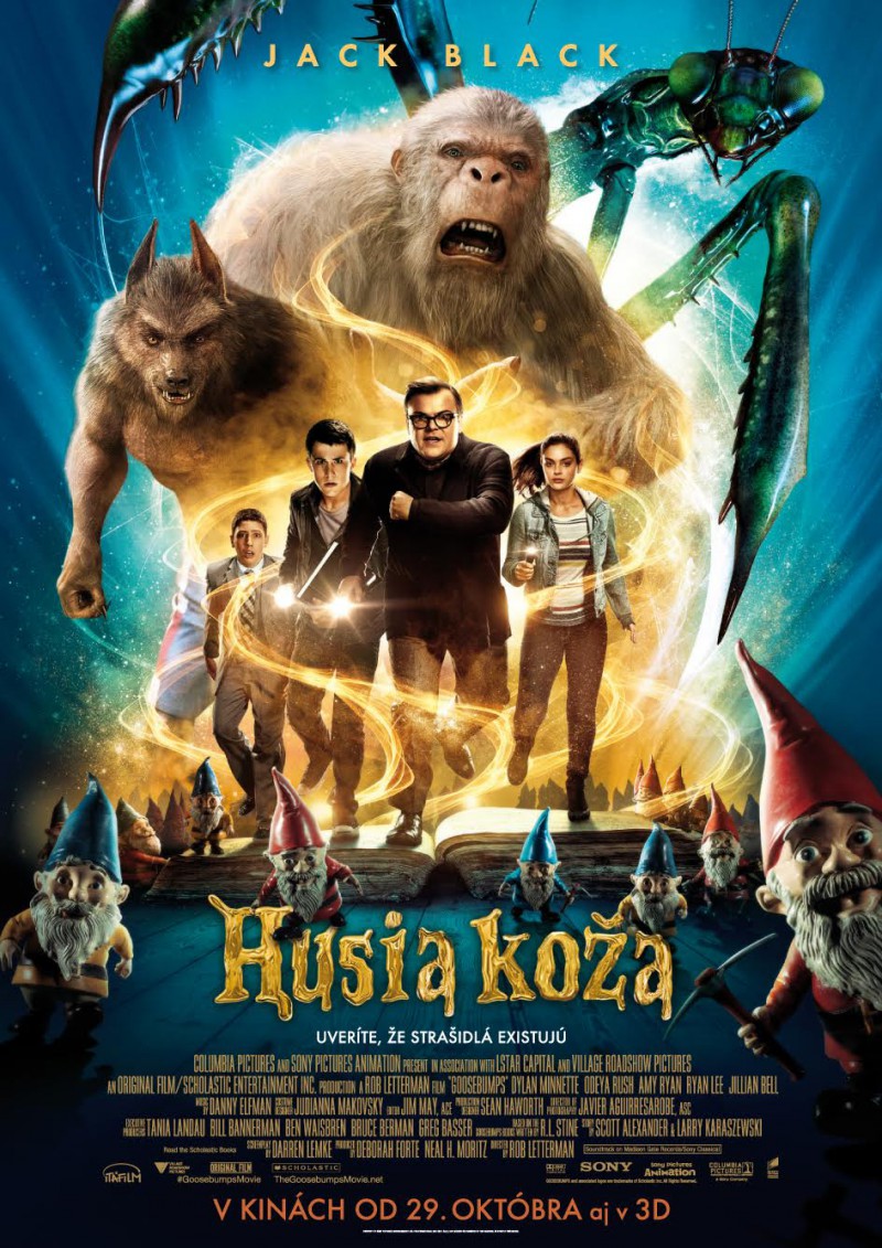 Plakát k filmu Husia koža