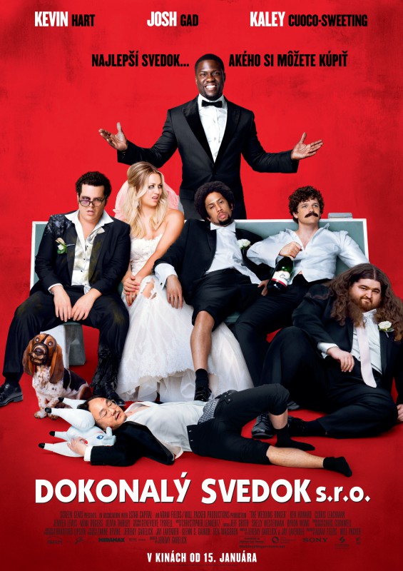 Plakát k filmu Dokonalý svedok s.r.o.